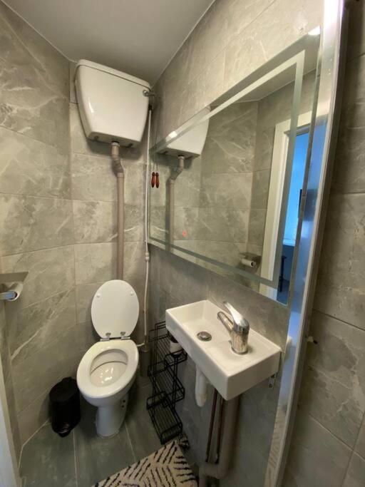 One Bedroom Putney Village Flat ลอนดอน ภายนอก รูปภาพ