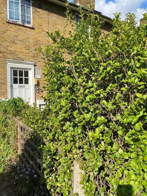 One Bedroom Putney Village Flat ลอนดอน ภายนอก รูปภาพ