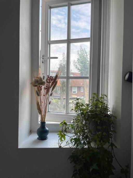 One Bedroom Putney Village Flat ลอนดอน ภายนอก รูปภาพ